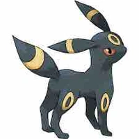 Umbreon 