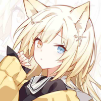 Y/N