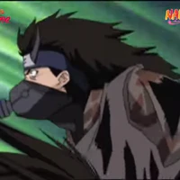 Lưu vong, ninja khác