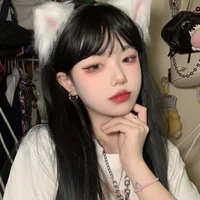 Y/n