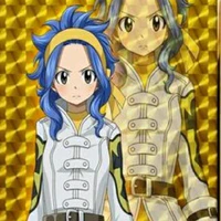 levy