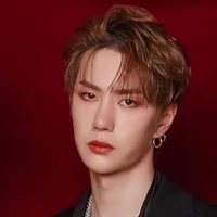 Chủ tịch  ( Vương Nhất Bác)