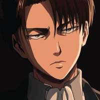 Levi