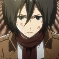 Mikasa