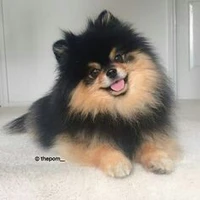 Yeontan