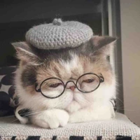 Tác giả rảnh không sinh không nổi 