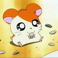 Chi Chi