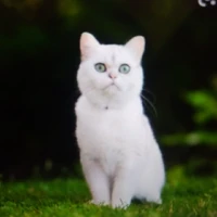 muka