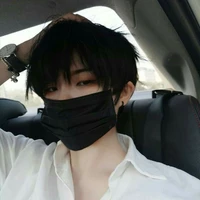 lãnh việt băng (n9)