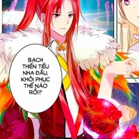 Triết nhan phượng hoàng