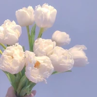 mộc🐥