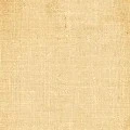 Hashira_Trụ Cột