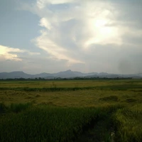 Nv phụ