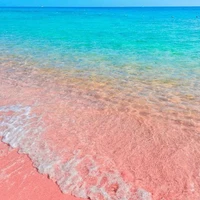 Người dùng Facebook