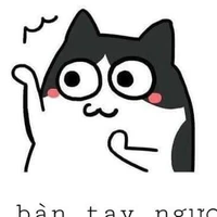 chị t/g