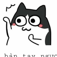 chị t/g