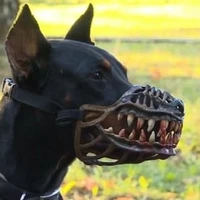 chú chó cute hột me :))