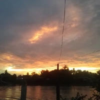gia đình nhà Nam