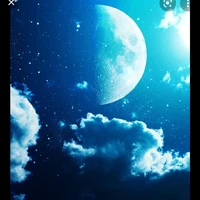d.v quần chúng