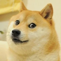 °Kậu Vàng Kute°
