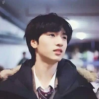 Nghiêm Hạo tường
