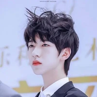 Hạ Tuấn Lâm