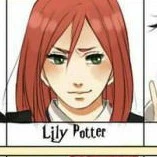 lily potter