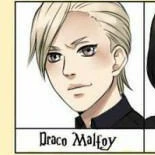 draco mafloy