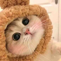 cỏ 🌱
