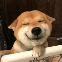AU