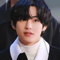 Kim Taehyung ( anh trai Lisa )