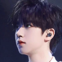 Hạ  Tuấn Lâm
