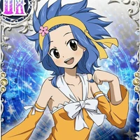 Levy McGarden