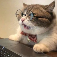Meow Nè