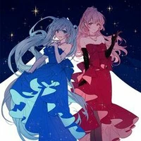 Rin, finy