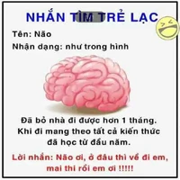 Nhóm An,Vy,Minh,Hoàng