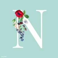 𝓝𝓲𝓰𝓱𝓉