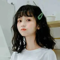 Han Mi Young