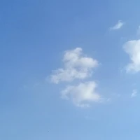 Nv phụ 2
