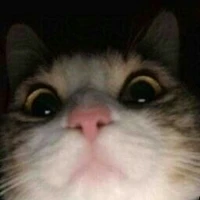Mefuru
