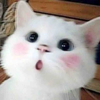 Tác giả