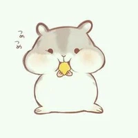 Đĩ tác giả