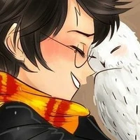 Harry James Potter