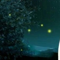 Người bí ẩn