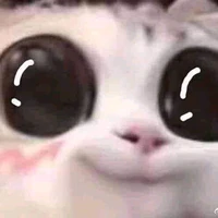 Tác Giả kun