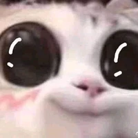 Tác Giả kun