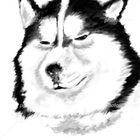 lulu