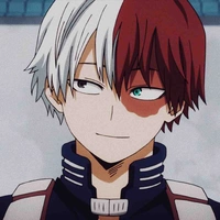 Todoroki Shouto
