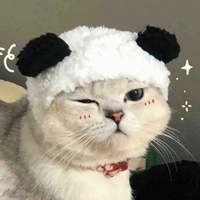 Tác giả