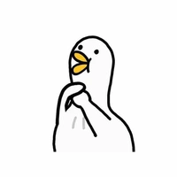 Duck Stupid 